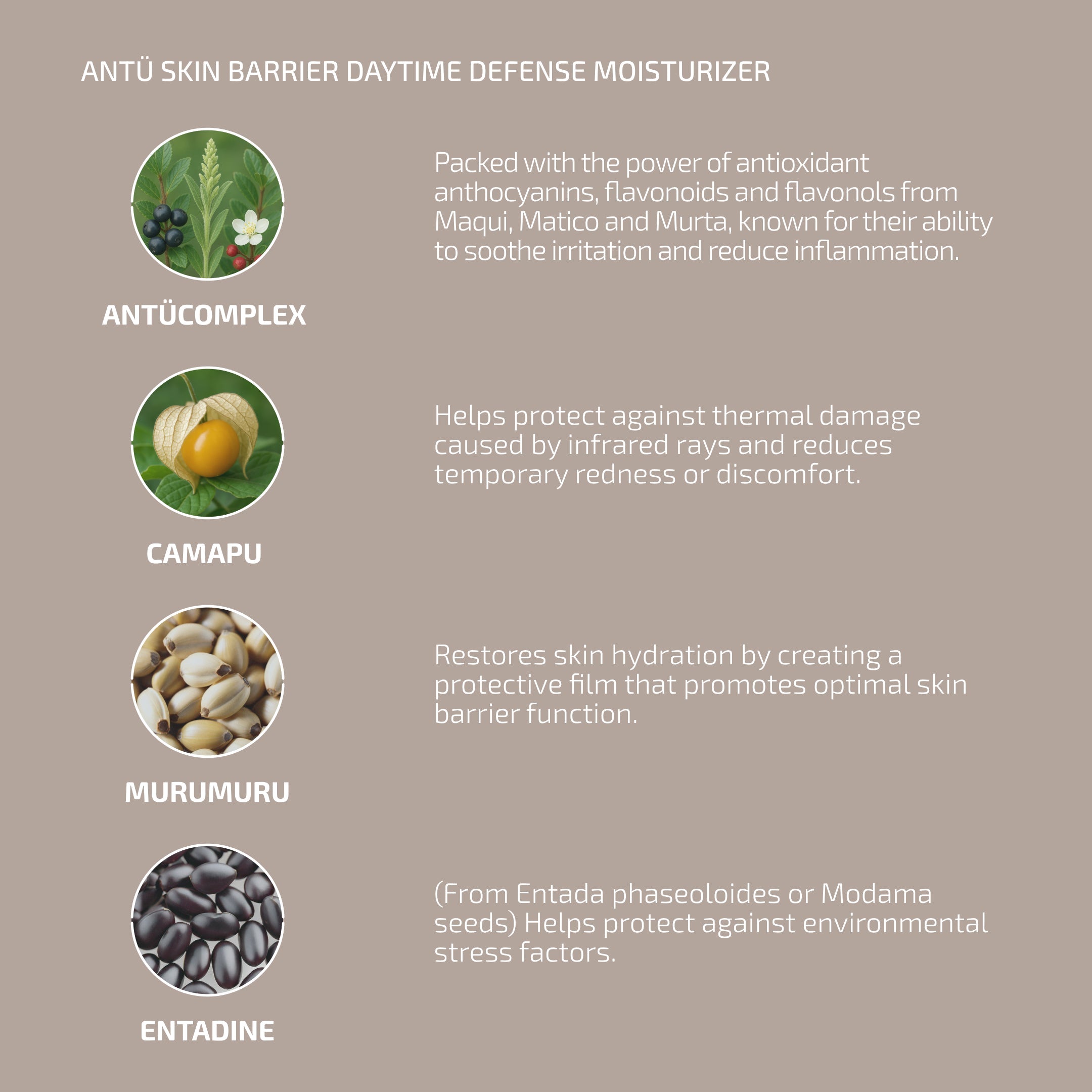 ANTÜ Skin Barrier Daytime Defense Moisturizer