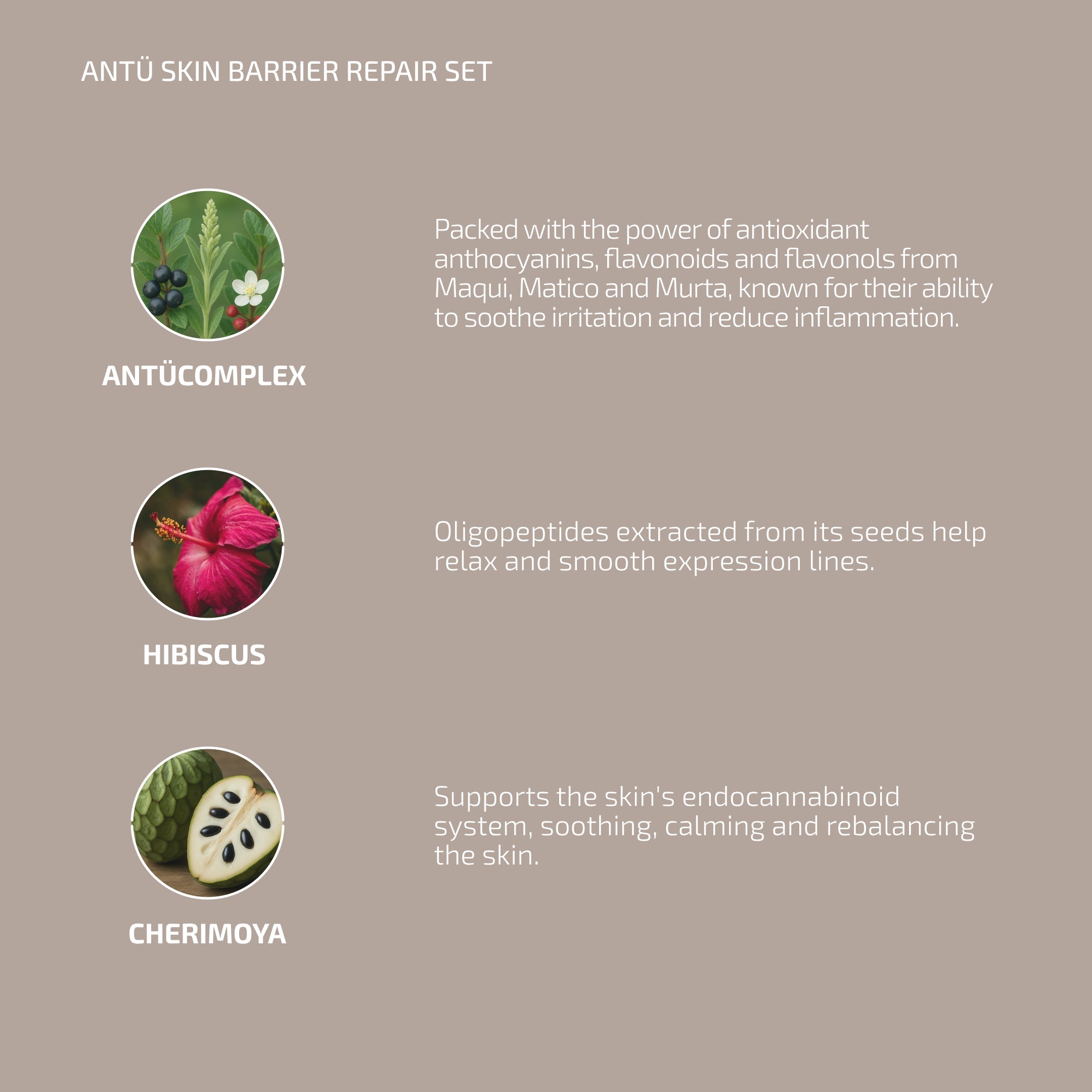 Skin Barrier Repair System