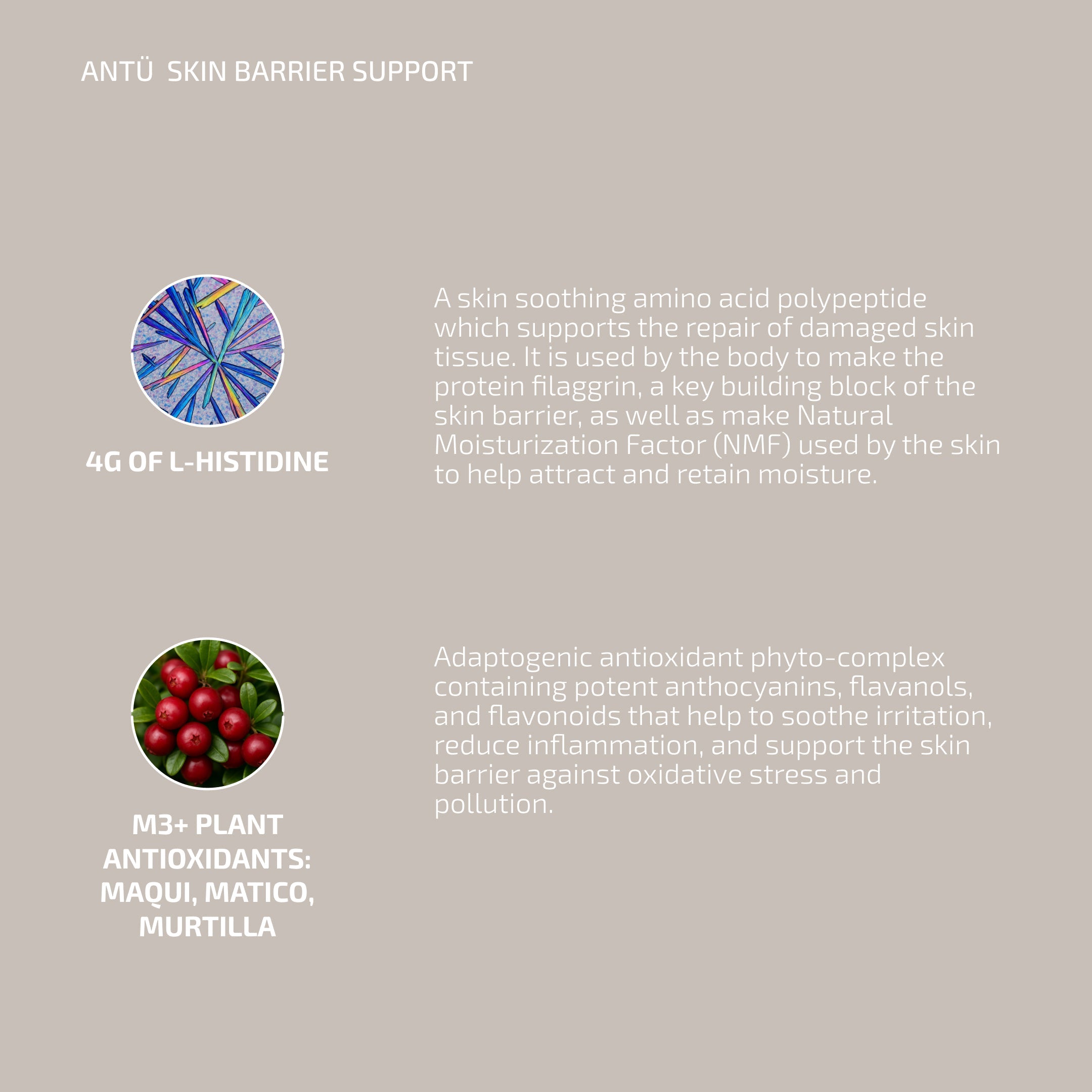 Skin Barrier Repair System