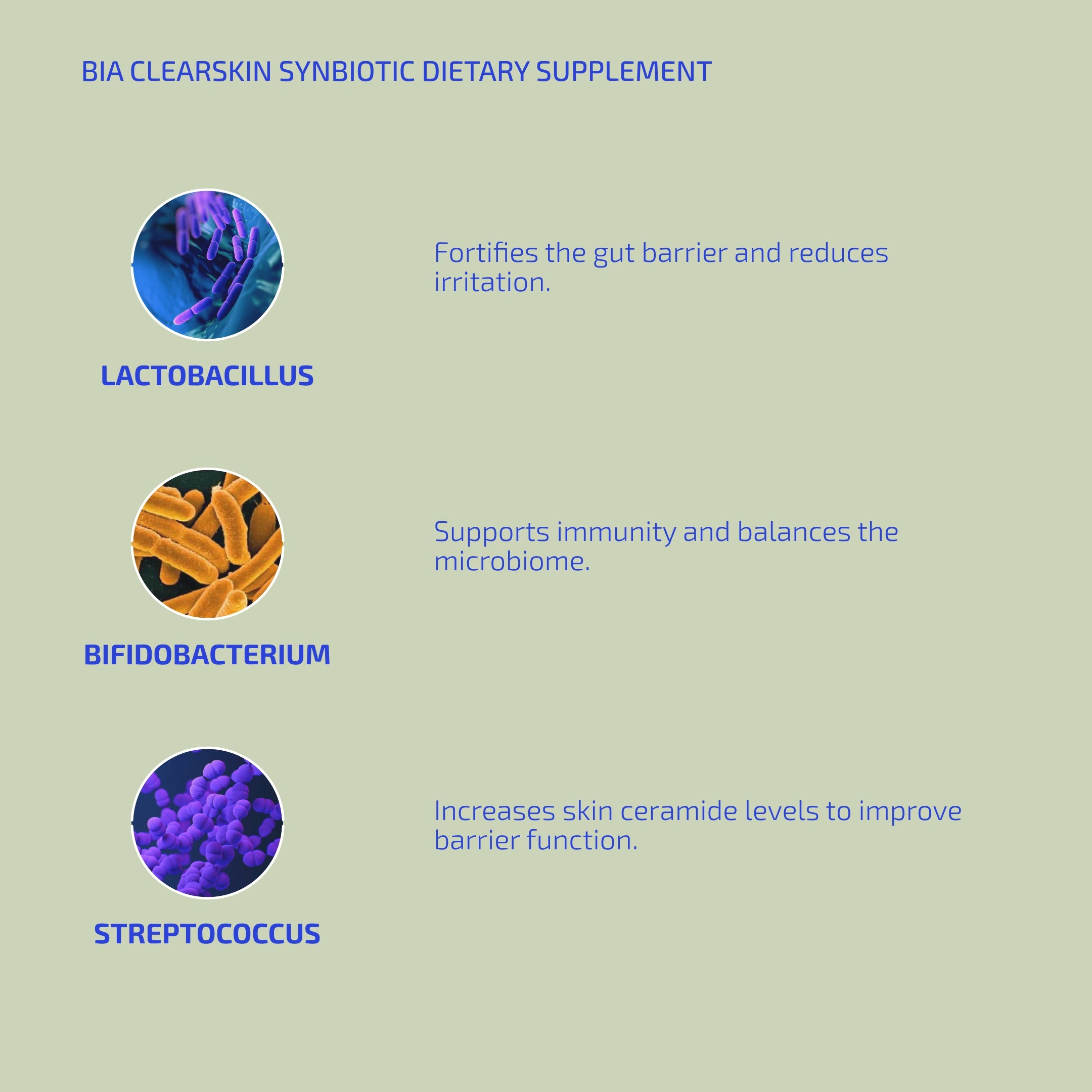 Clear Skin Synbiotic Supplement for Eczema-Prone Skin – 30 Capsules (12+)