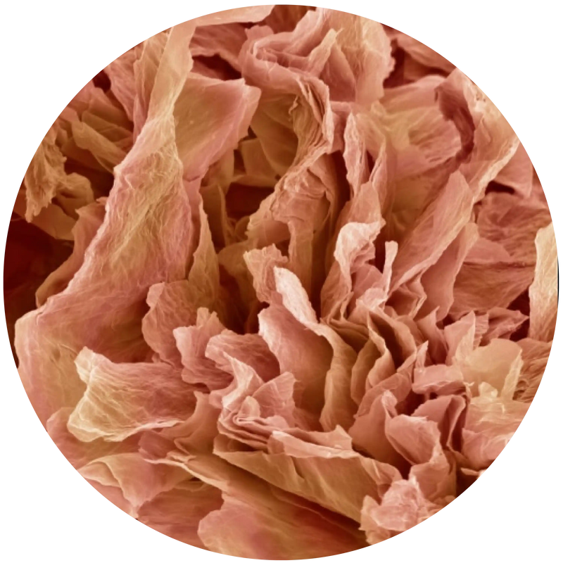 Sphere Excema Eczema Product – Codex Labs U...